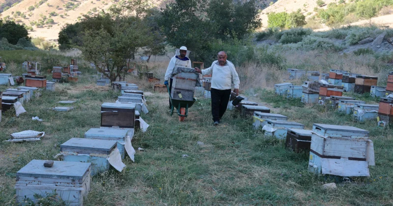 Sadece Hakkari de yetişen bitkilerden elde ediliyor: Türkiye nin şifa deposu ilan edildi Sözcü Gazetesi