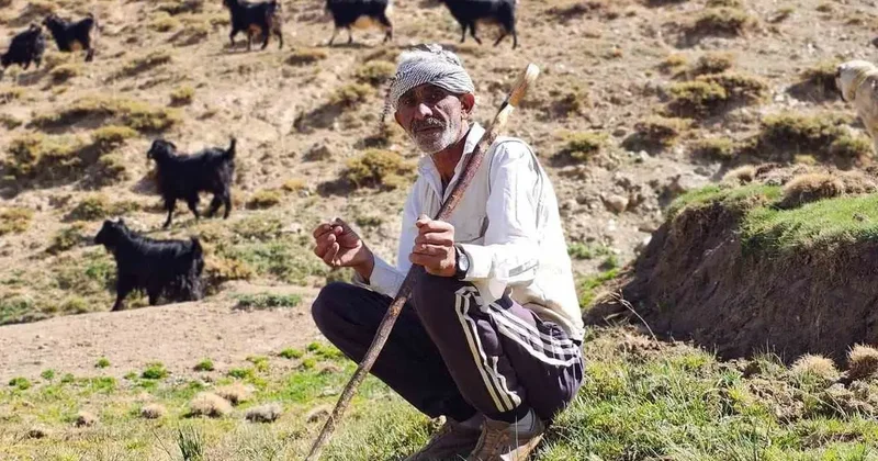 Bursa’dan köyüne döndü, hayvancılıkla geçimini sağlıyor