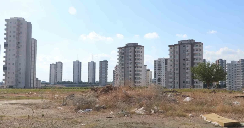 Adana da yaklaşık 100 desibel cırcır böceği sesi vatandaşları uyutmuyor