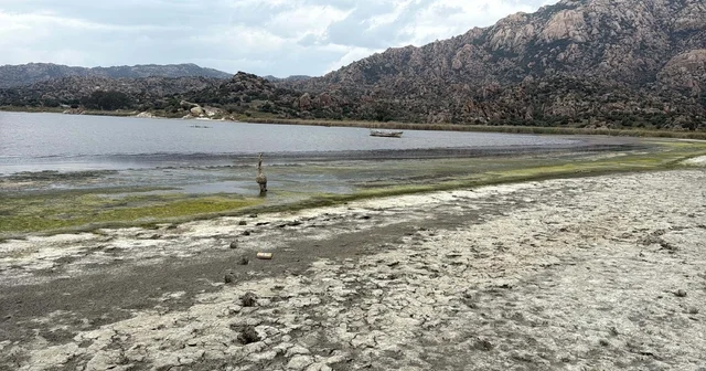 Suyu 50 metre çekilen Bafa Gölü ne Büyük Menderes Nehri hayat verecek Muğla Haberleri