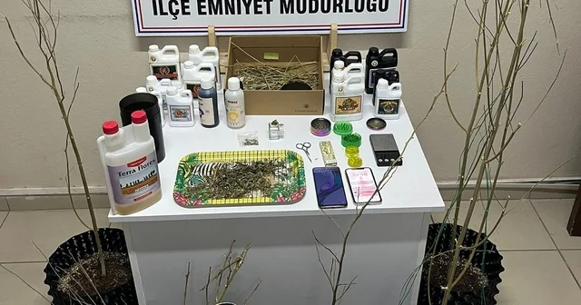 Evlerine kurdukları sistemle kenevir yetiştirip uyuşturucu üreten 5 şüpheli gözaltında Tekirdağ Haberleri