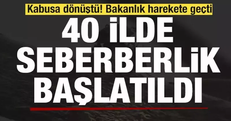 Kabusa dönüştü! Bakanlık harekete geçti! 40 ilde seferberlik ilan edildi!