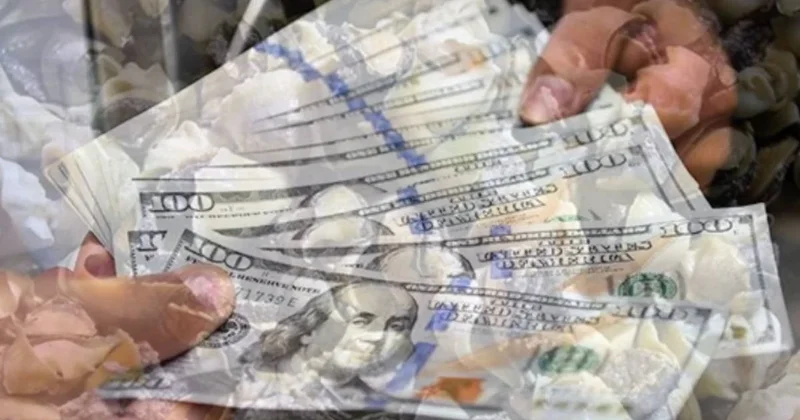 Sadece 9 ayda 10,7 milyon dolar kazandırdı: Bu mesleğe yönelen kazandı, talep giderek artıyor Sözcü Gazetesi