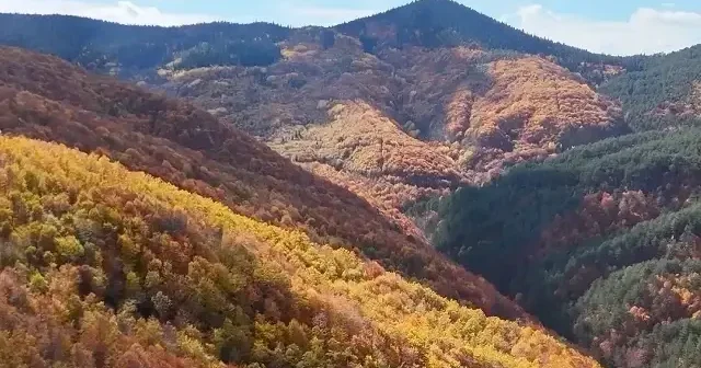 Kastamonu ormanlarında renk cümbüşü: Oluşan kartpostallık manzaralar havadan görüntülendi VİDEO İZLE