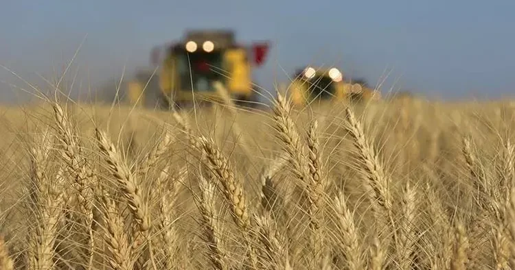 İşte tarımın 9 aylık ihracat karnesi