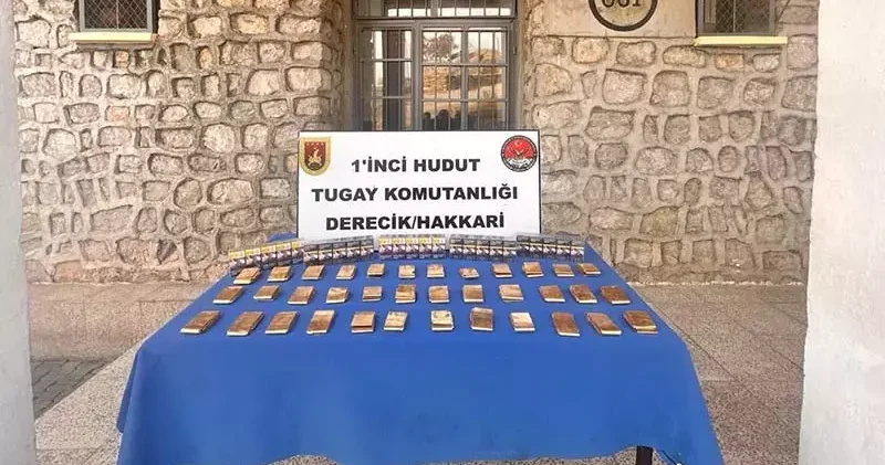 MSB: Hakkari hudut hattında 36 kilo altın ele geçirildi