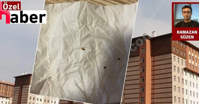 KYK yurdunu tahta kuruları istila etti: Yurt yönetimi öğrencileri suçladı iddiası
