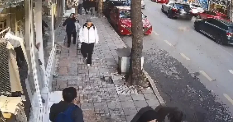 Fatih te otomobilin ezdigi köpek Kuki öldü; o anlar kamerada