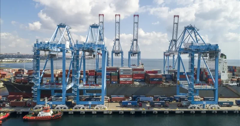 Deniz salyangozu ihracatı 9 ayda 10,7 milyon dolar kazandırdı