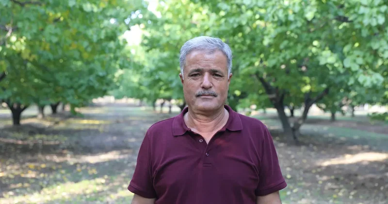 Ne emekli maaşı ne ek iş! Toprağa yatırım yaparak kendi servetini böyle kazandı