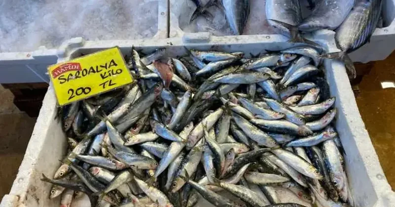 Tüm tezgahları süsledi! Fiyatı dibi gördü: Türkiye deki en ucuz yiyecek...