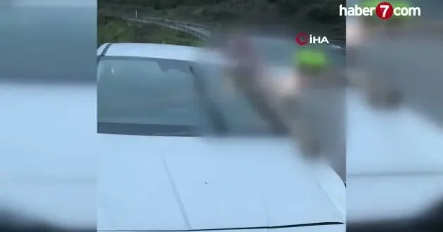 Arnavutköy de korkunç kaza: Atın kopan bacağı arabanın camına saplandı