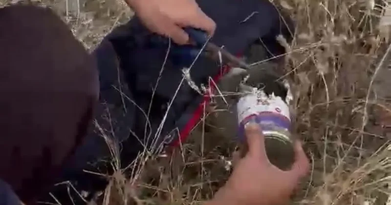 Kafası konserve kutusuna sıkışan kediye itfaiyeden yardım eli