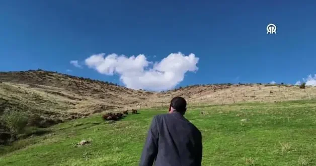 Fenomen çoban 18 yıl sonra yine koyunları çağırdı! O anlar viral oldu
