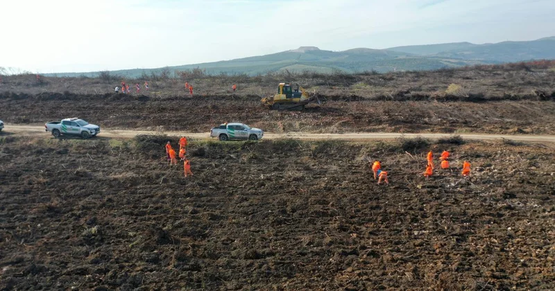 Alev savaşçıları fidan dikimi için sahada