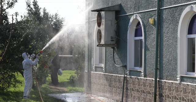 Kahverengi kokarca ile mücadele: 850 hane, 23 kamu alanı ve 623 ahır ilaçlandı Samsun Haberleri