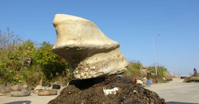 Giresun un Bulancak ilçesinde denizde bulunan cisim balıkçıları şaşırttı Giresun Haberleri