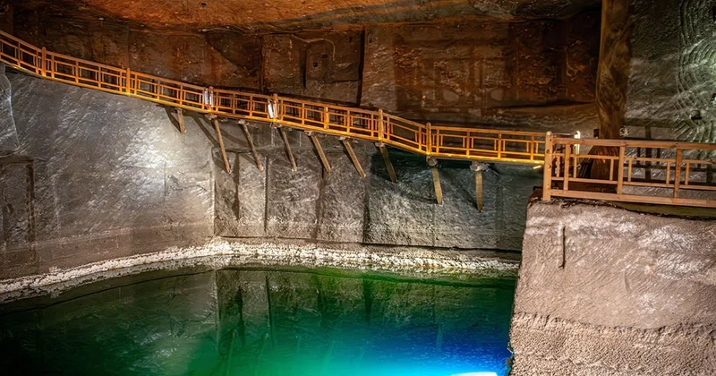 Ayda 15 bin ton beyaz altın üretecekler Sözcü Gazetesi