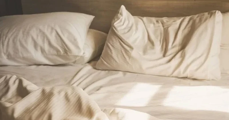 Eski yastıklar sanılandan çok daha işe yarıyor: Çöpe atan pişman olur Sözcü Gazetesi