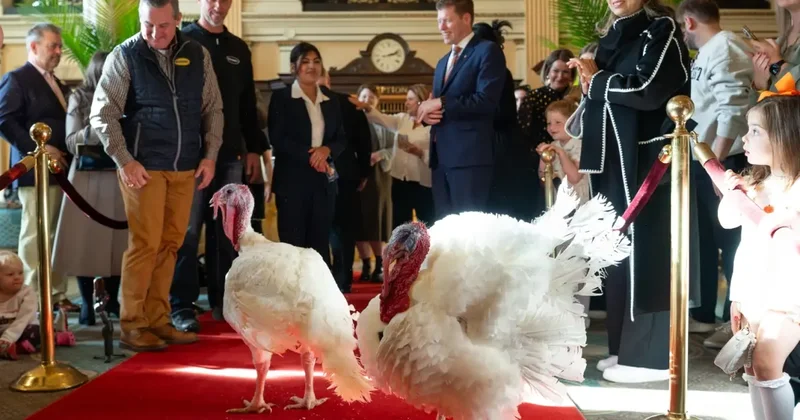 Trump tan Şükran Günü geleneği: 2 hindiyi affetti