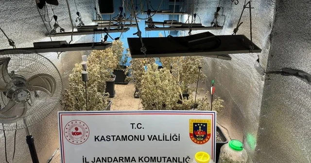 Çiftlik evlerini kenevir serasına çeviren sanıkların yargılanmasına devam edildi Kastamonu Haberleri