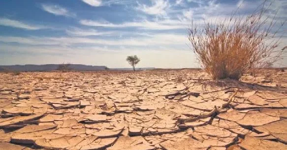 MEVLÜT TEZEL Su güvenliği bakanlığı kurulmalı