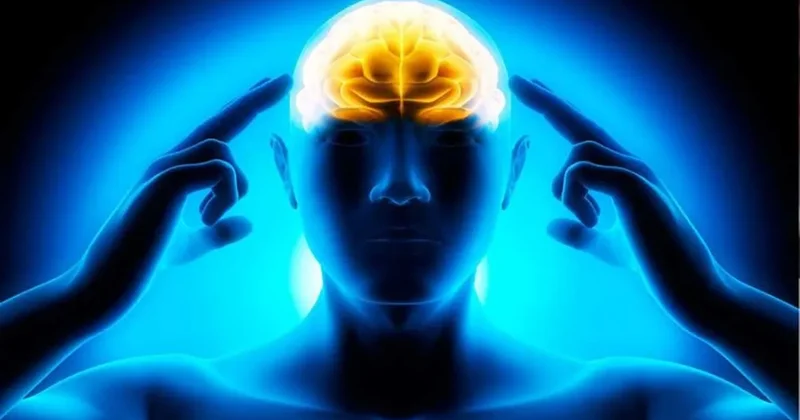 İnsan beyninin dört kritik dönüm yaşı