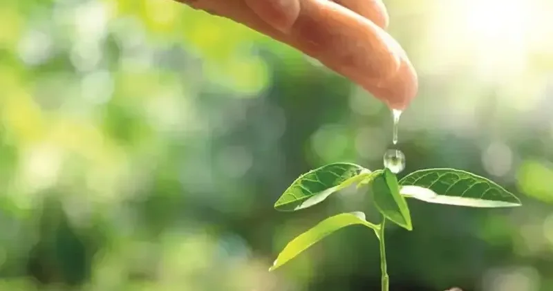Tüm sektörlere su tasarrufu çağrısı Ekonomi Haberleri
