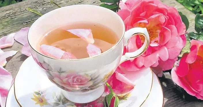 İDİL AÇIKALIN Şifalı kış çayları