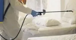 YÜKSEL AYTUĞ Turizme tehdit: Alüminyum fosfit