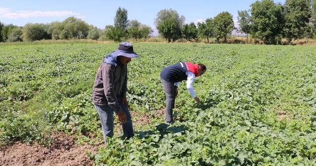 ÇKS başvuruları 31 Aralık ta sona eriyor Erzincan Haberleri