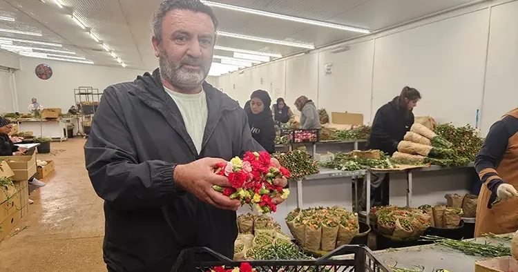 Türkiye den Yunanistan a özel çiçek! Milyonlarca dolarlık gelir kapısı oldu