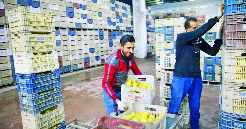 Bu kez hal çaresine bakalım: Sebze ve meyvede fiyatları düşürecek yasa geliyor Ekonomi Haberleri