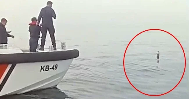 Karadeniz de balıkçılar gördü! Sahil Güvenlik ekiplerine haber verildi