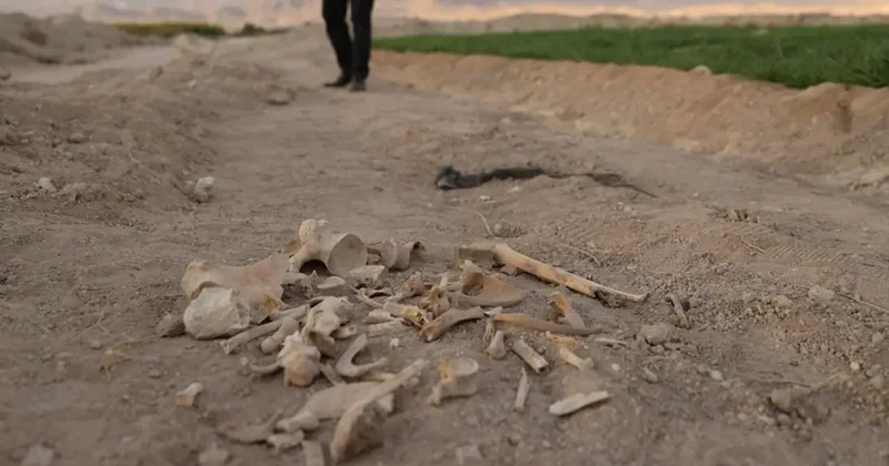 Suriye de kan donduran manzara! İç savaşın korkunç yüzü görüntülendi