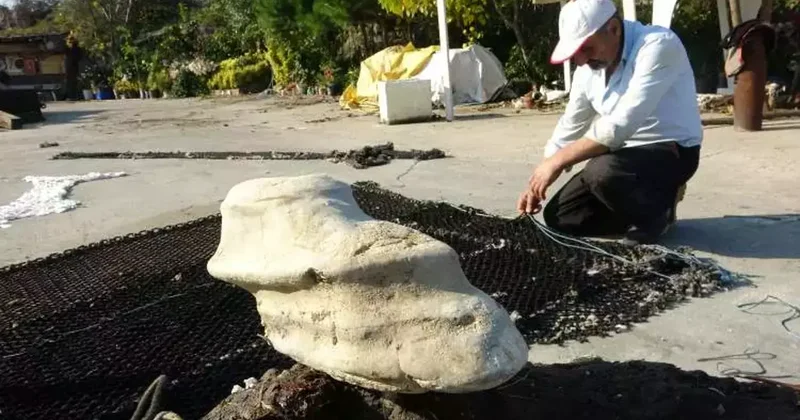 Denizin dibinden gelen sır! Giresun’da bulunan cisim balıkçıları şaşırttı