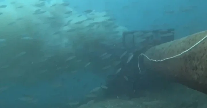 Çanakkale Boğazı nda denize dökülen pis su böyle görüntülendi