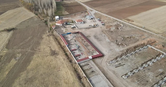 Başkan Metin den sokak hayvanları için örnek hizmet Kayseri Haberleri