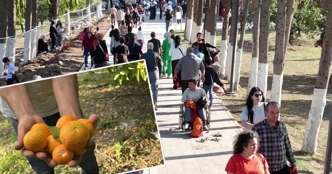 Ücretsiz dağıtıldığını duyan geldi! Hem yiyoruz hem de stres atıyoruz