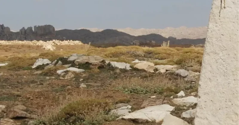 Ermenek te Tarihi Sikkeler Bulundu