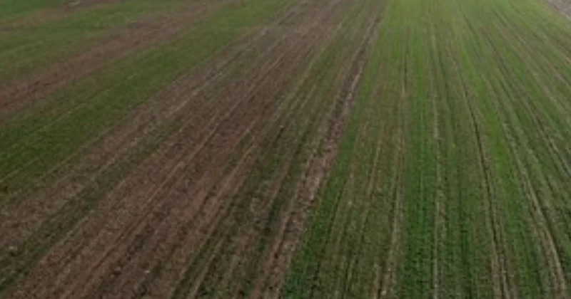 Keşif yaptığı arazide servet buldu Sözcü Gazetesi