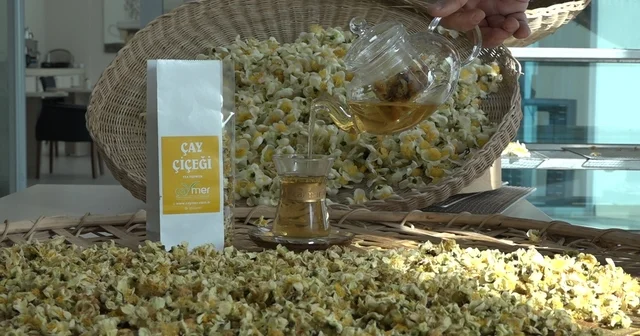 Çayın yeni ürünü Çay çiçeği çayı 6 bin TL den satılıyor Yeşil, siyah, beyaz, oolong çayı derken şimdi de çayın çiçeğinden de çay yapılıyor Rize Haberleri