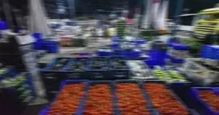 TÜİK: Bitkisel üretim miktarları 2025 te azaldı