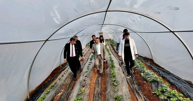 Tarım lisesinde üretilen mantarın hasadı yapıldı Şanlıurfa Haberleri