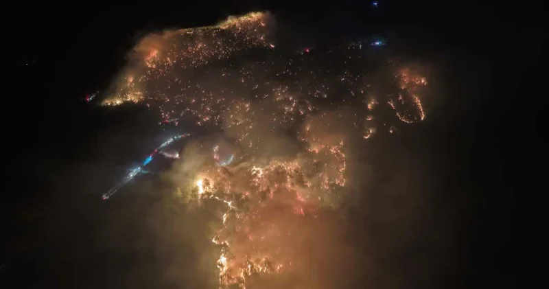 Egenin ormanları 459 noktada alev alev yanmış!