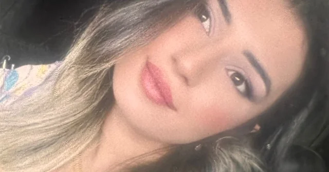 Zap Suyu na yuvarlanan hafif ticari aracın sürücüsü Suden Ezgi, kurtarılamadı Hakkari Haberleri