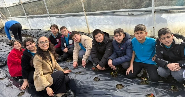 Gördes te çilekler engelliler için yetişecek Gördes te Sevgimizi Seramızda Büyütüyoruz projesi kapsamında çilek dikimi yapıldı Manisa Haberleri