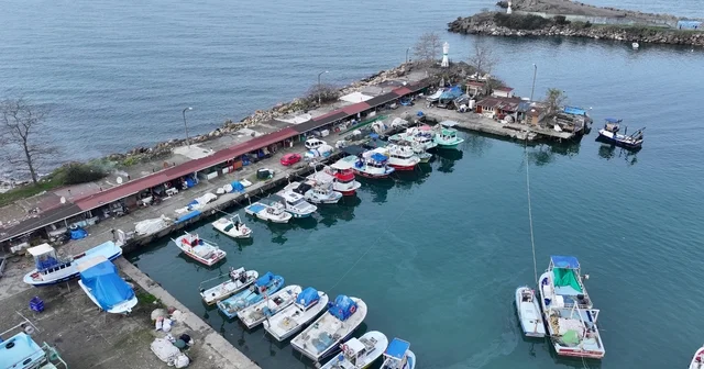 Düzce ve Bartın da balıkçılar bu sezon av miktarında umduğunu bulamadı Düzce Haberleri