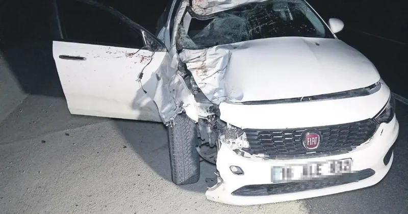 Kaçan 6 Arap tayı kazada telef oldu