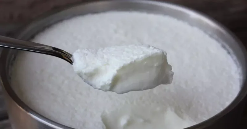 Ünlü markadan ölümcül hile! Manda yoğurdunda inek sütü çıktı